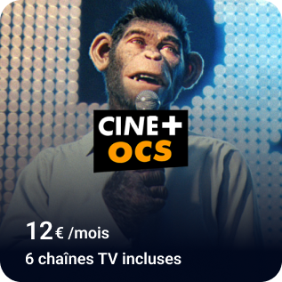 Bouquet CINÉ+ OCS