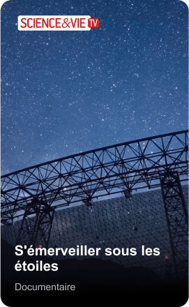 S'émerveiller sous les étoiles