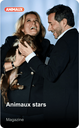 Animaux stars