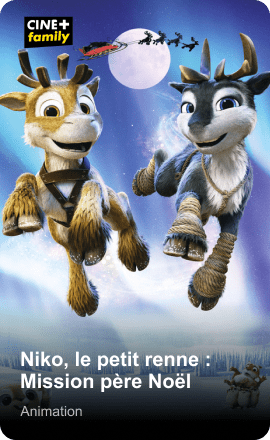 Niko, le petit renne : Mission père Noël