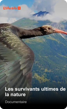 Les survivants ultimes de la nature